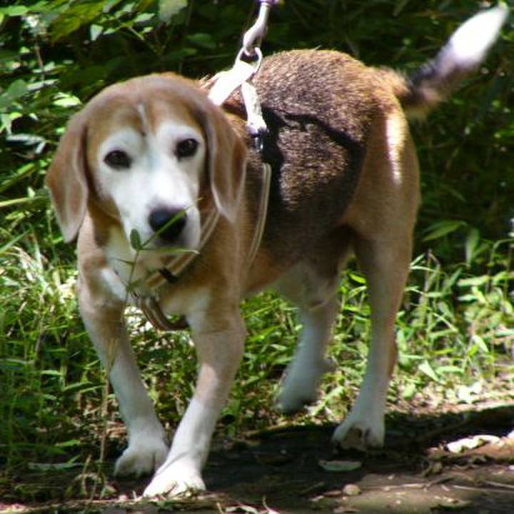 A2c15a19 7dfe 4698 981b e7290ad7a1c4 1655168866162