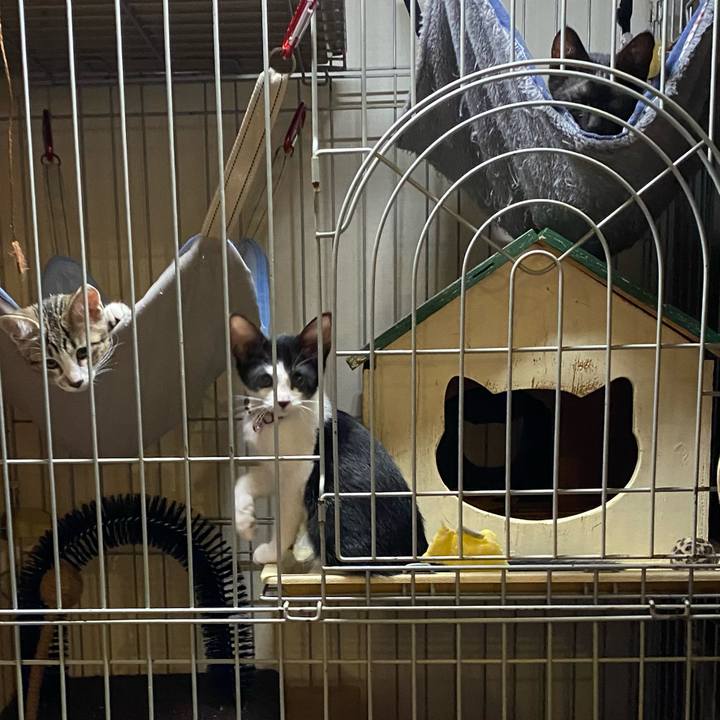 A2c1691b 7b8e 43c2 8ce2 885e0375d4a3 1626863725560