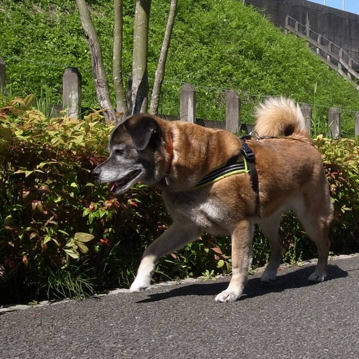 A2c18f7d 1ddd 44f5 8166 691f451da0fd 1585615473341