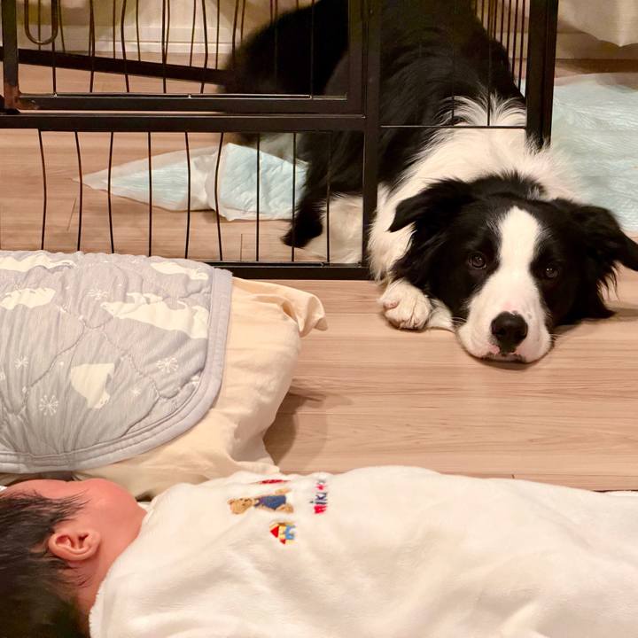 A2c1c37d 0c33 44ab 9cea 695fa418ac69 1770376288993