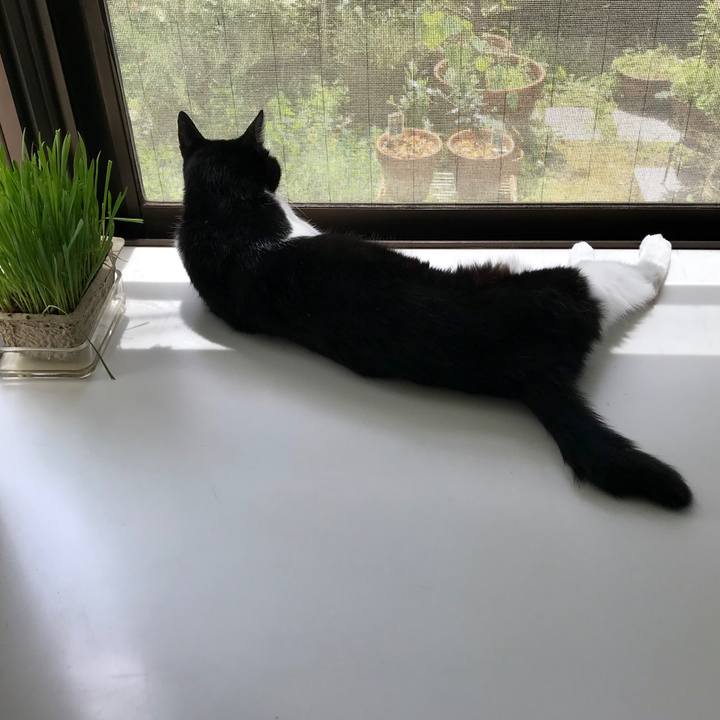 A2c1c39a ac57 4e04 bf08 e1f0a3225c16 1556418261895