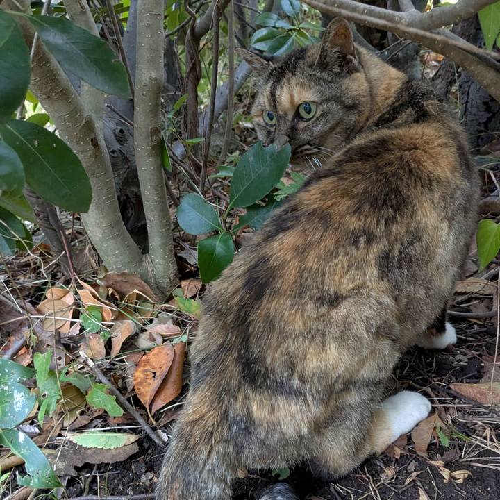 A2c1e3d8 891d 4cb9 a863 5f629cb5dd6b 1754902466528