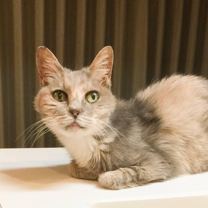 A2c236d7 04c2 4366 9adc b654cf1e022a 1528195097262