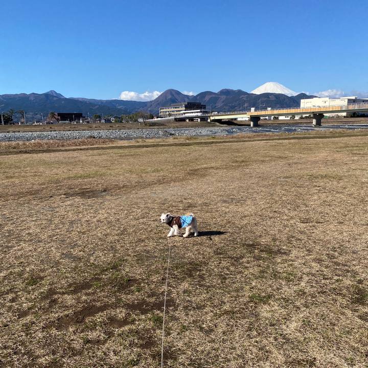 A2c23893 8c8d 4704 a97c 95d0d146dbc9 1580386357339