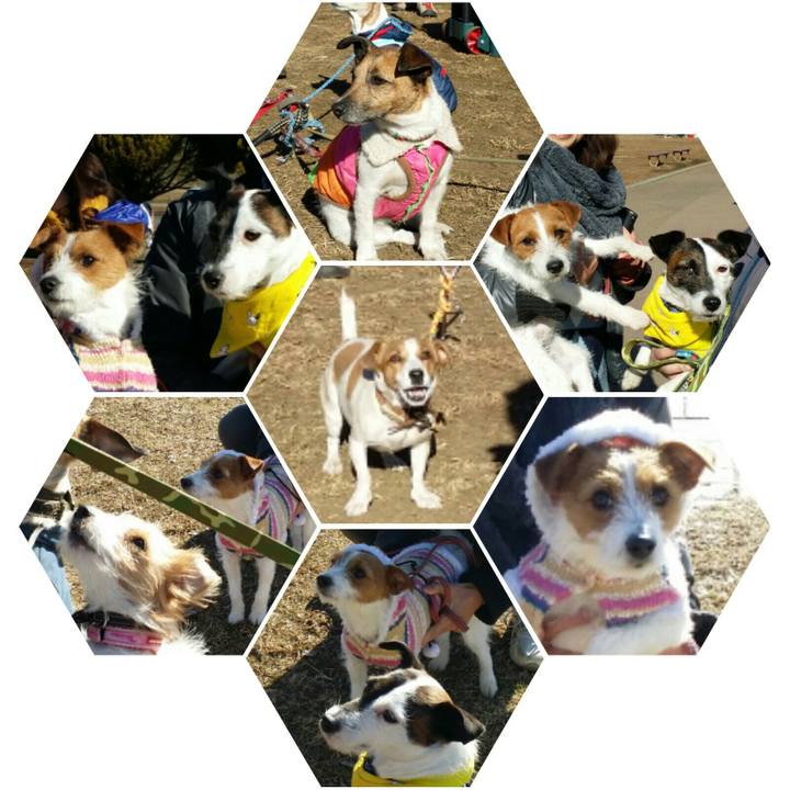 A2c2aa8f 2e5e 412d 989a 5cdd5114f486 1515310491608