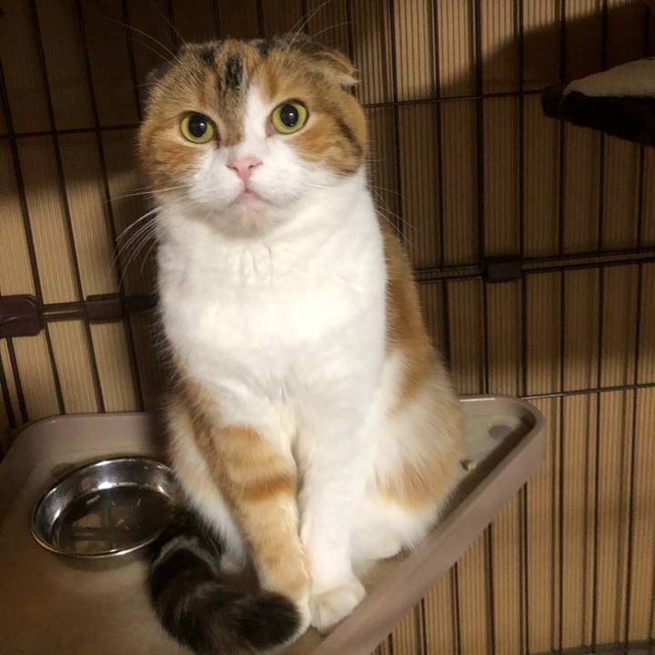 A2c2acc8 4dd6 4700 b891 d20da77c9160 1614763780893