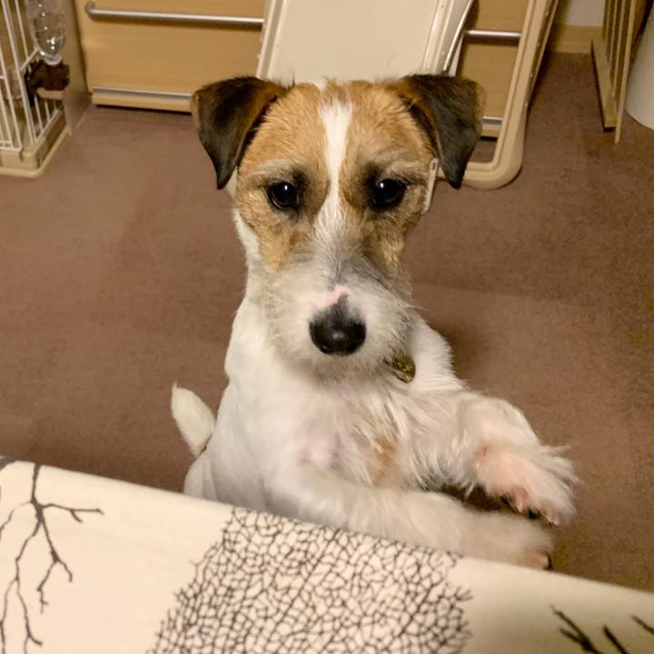 A2c2af28 e9ec 468b ae81 8a0e4895efa4 1587464279811