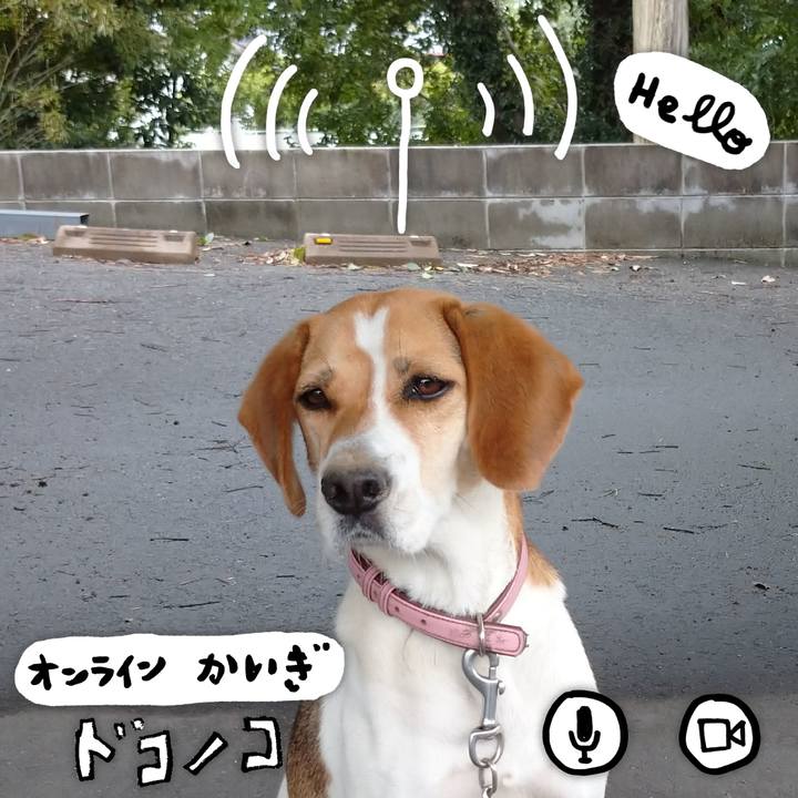 A2c2b766 7ee7 4367 ab54 9f82d94b1e60 1593835817831