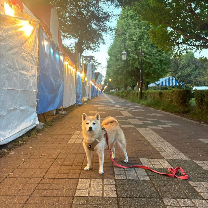 A2c2ce52 4df8 457e 8efd 046df07785a1 1762121497480