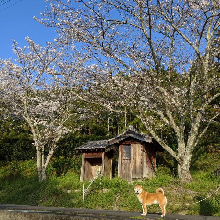 A2c2d213 df4e 4bd4 a2ef 3417f08c3d82 1586913198868