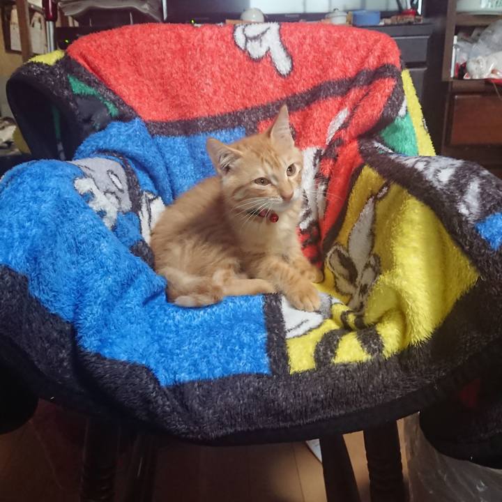 A2c2e146 e0a4 41cc 85ae db8d65ff468b 1630928719132