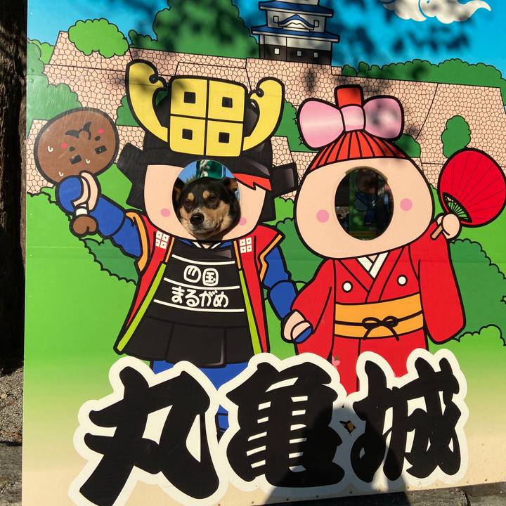 A2c2e760 e3d0 4493 8897 d5746394d5cb 1635328466031