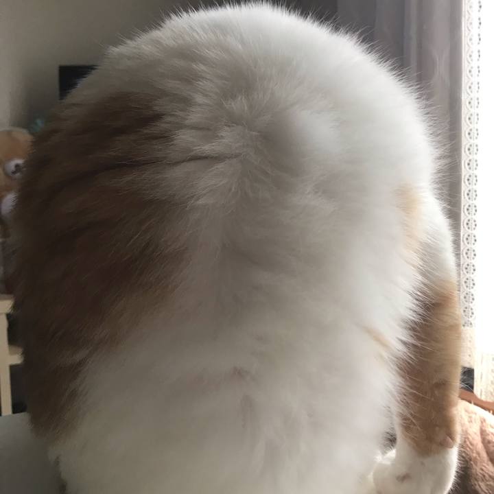 A2c2f2d7 55b7 4fb5 95cc 9b439f1b8a5e 1561612372807