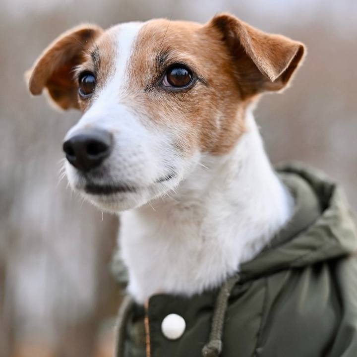 A2c2fb13 1f0a 4ea9 8399 20599ced8f5b 1737349445590