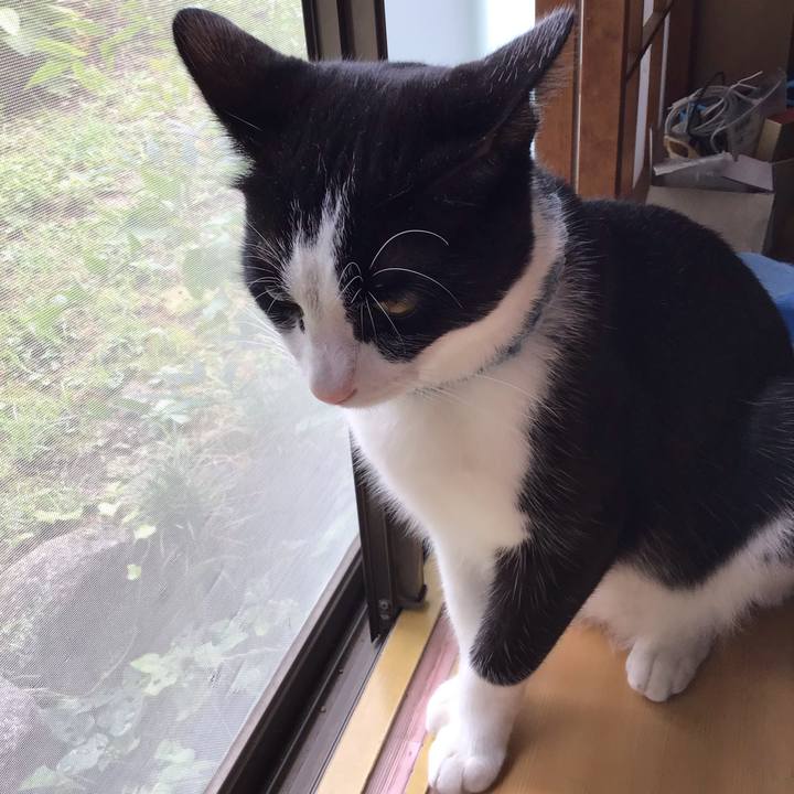 A2c31eae 1a50 4cf5 b874 0ba6f35e4cc6 1662630273053