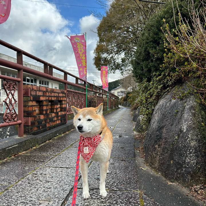 A2c33e26 f2a6 492c b09a 3b360c53b91d 1710926107460