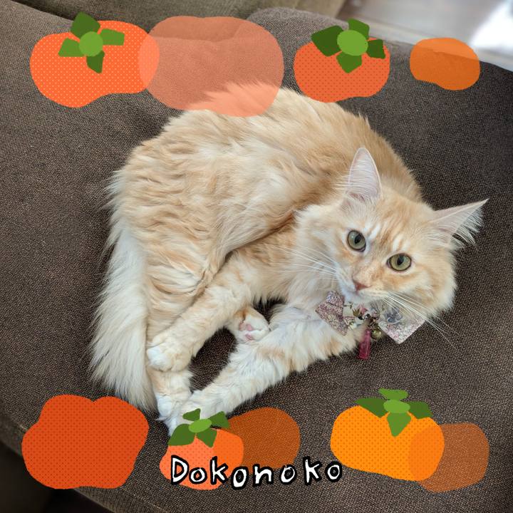 A2c345c8 b8a8 4af9 b38f 6453dcbea7ce 1761102851038