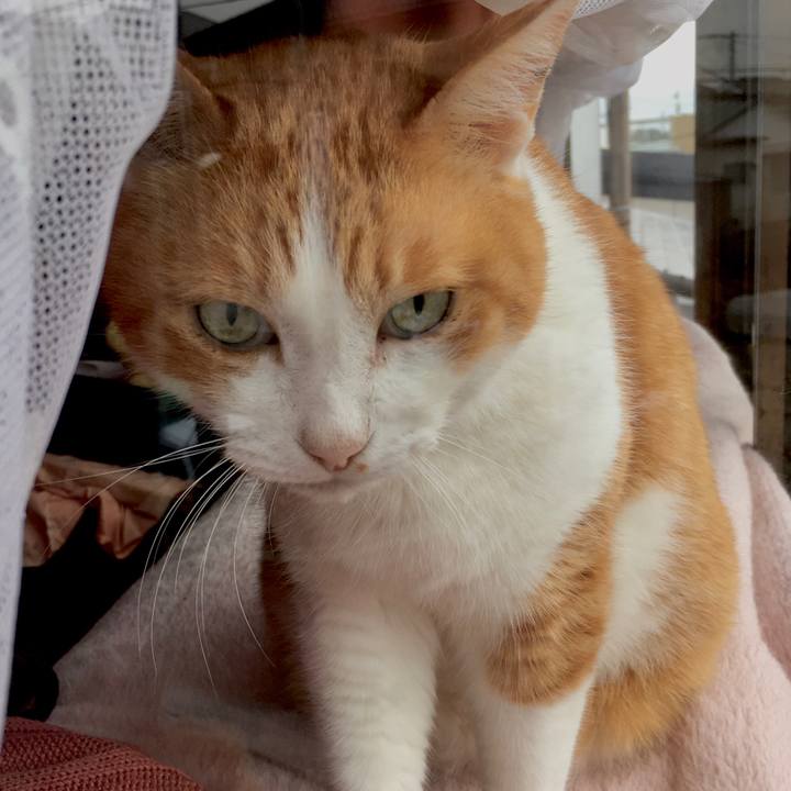 A2c36d88 03da 45c6 9825 19fb83e51123 1576049115134