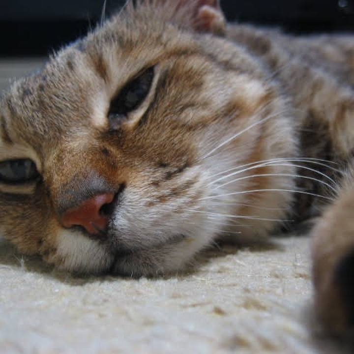 A2c3796a 690c 428f a1d0 e9501d135777 1628828077926