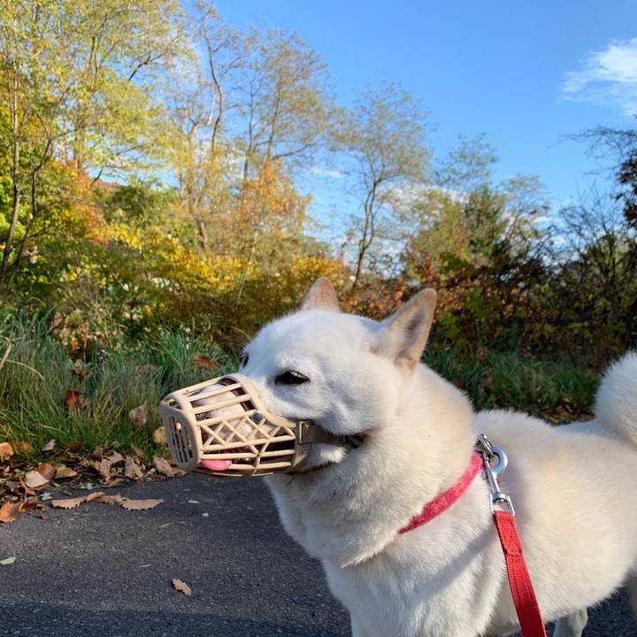 A2c3f3e3 87cb 450e 881a 3040bf356159 1572317081291