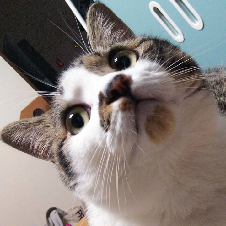 A2c4647b e308 4d58 8c55 09424d9232db 1628079515927