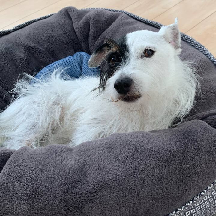 A2c46e58 25f2 48f2 adc6 393bf95931ce 1695690740896