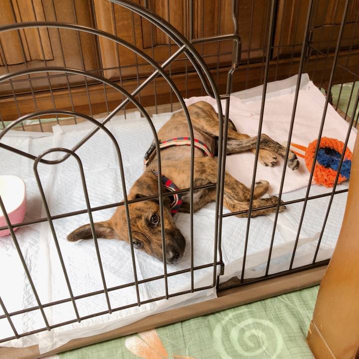 A2c475ea 98ba 4587 85b8 7f09f054c1de 1567566342589