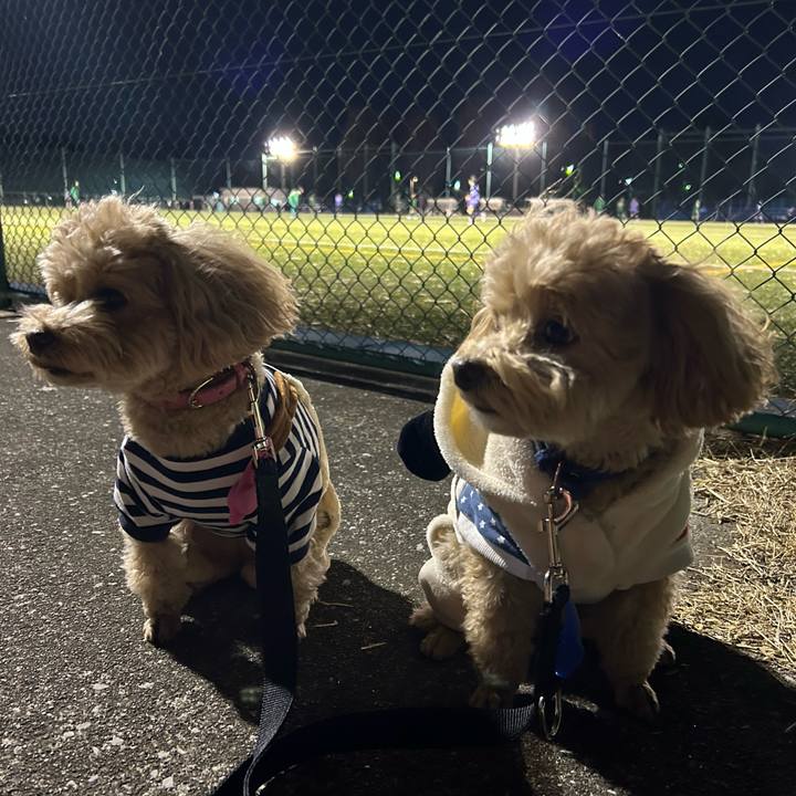 A2c49bb8 b43f 431b 958f a2554899bf5c 1740219743501