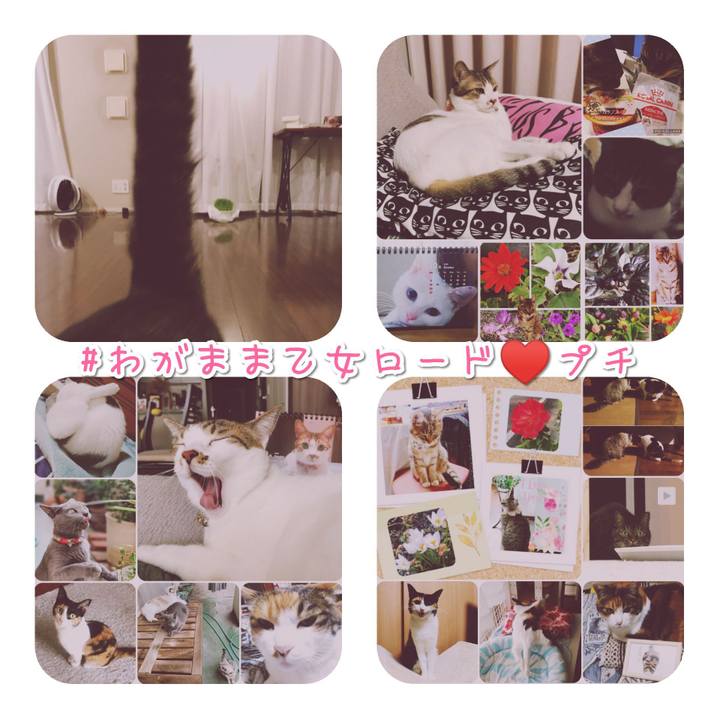 A2c50a34 3e8d 477a 8a03 ec39b9984b7b 1569928553220