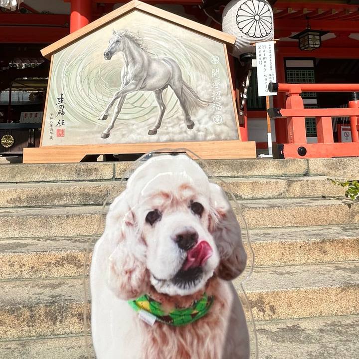 A2c51bd1 66e6 43c0 84be 83392cb47928 1767347372235