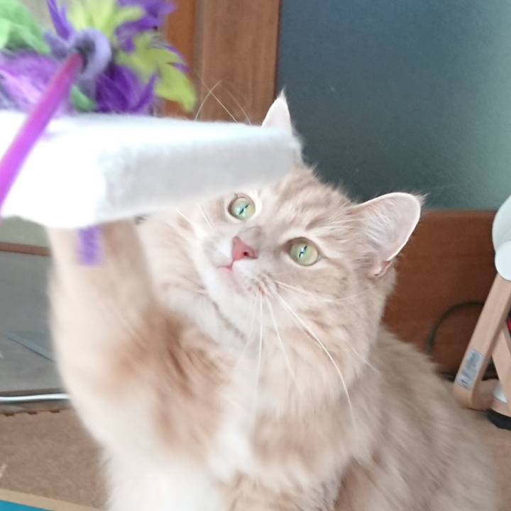 A2c5366c 6049 4463 813f 4bbadf326da3 1534651898412