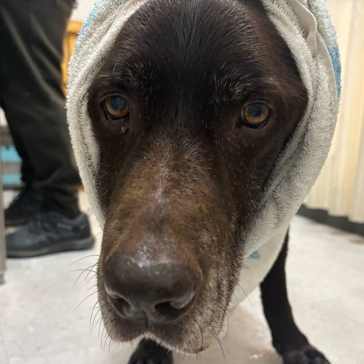 A2c556ea a1ef 495c b510 62804745e0fa 1772966470277