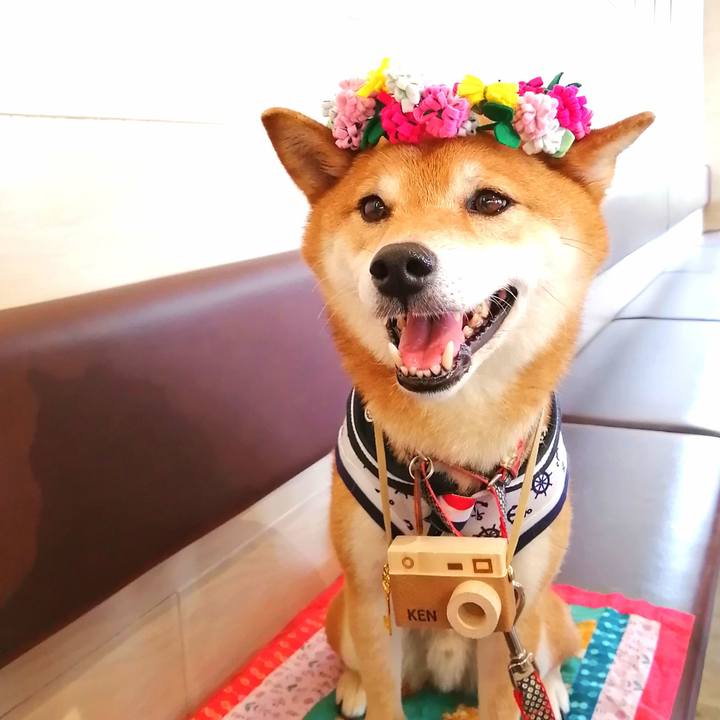 A2c56aa6 5d7c 4292 a14e 600802b0c17f 1625485205068