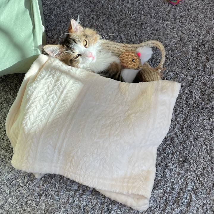 A2c57a37 1073 43ef b187 a23ace91c9c1 1634907974491