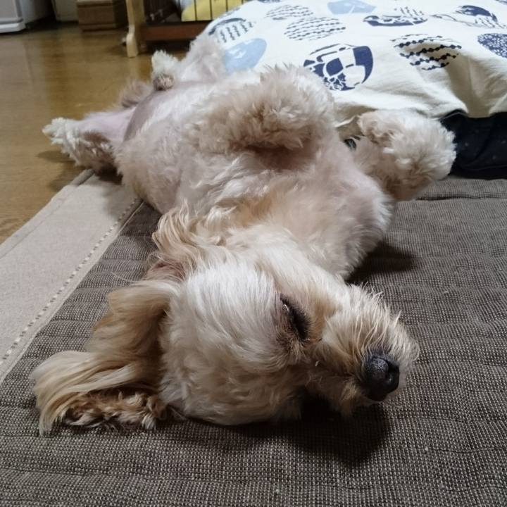 A2c57cd8 1ed5 48b0 982a 532c219a844a 1599377305770