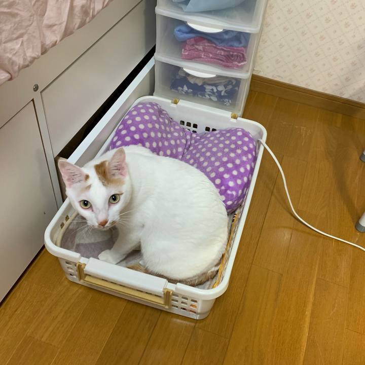 A2c582fe e421 4638 a988 0459ddd17956 1568924069843