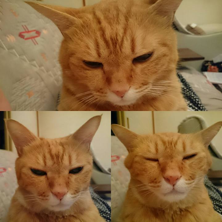 A2c58929 dcd9 4407 88a2 6fd33fbe3fab 1508248538078