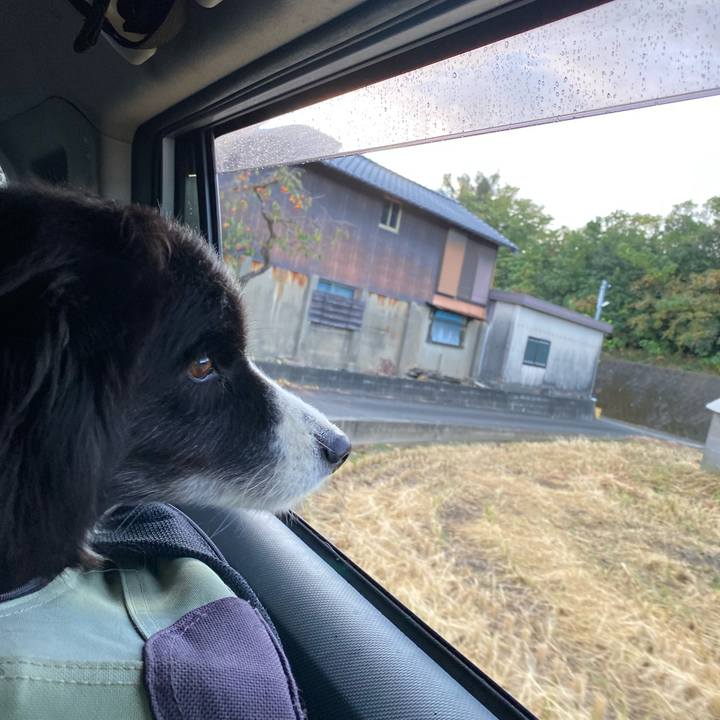 A2c58f1e 4d0d 439b 82cd 9aac529044a7 1666563245595