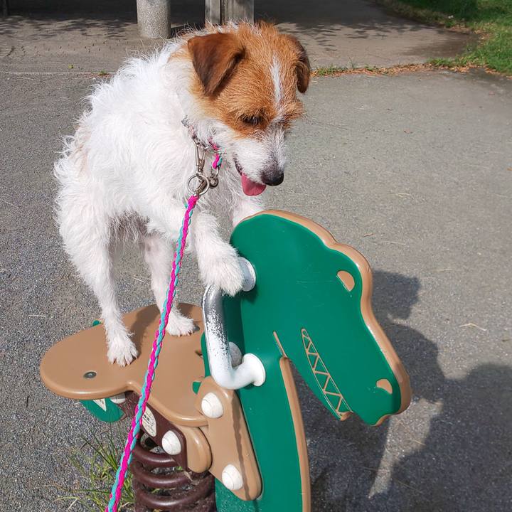 A2c5a926 1787 4abc a2e4 f64920506574 1565826291463