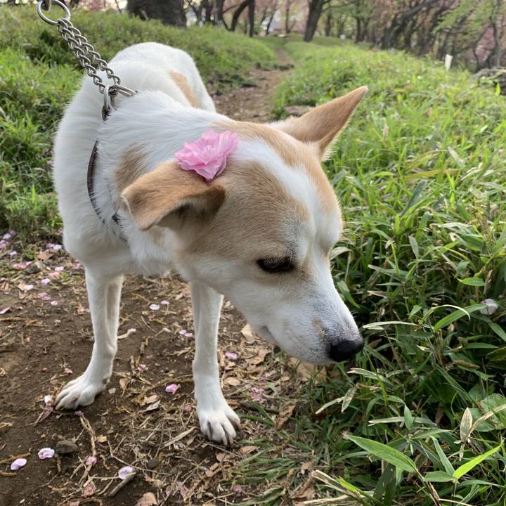 A2c5cb4e 29a0 42cb 8d6a 00ee3fff3e58 1617582475253