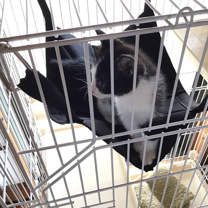 A2c5e4a4 3093 4901 b527 45be5651bb7e 1623652496519