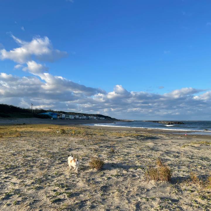 A2c5ebad 5b6a 4be0 96c4 2e83dc247901 1762044625189