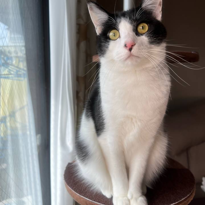 A2c5ebe1 294d 4bc0 ae2c 5732da735ae7 1643336923993