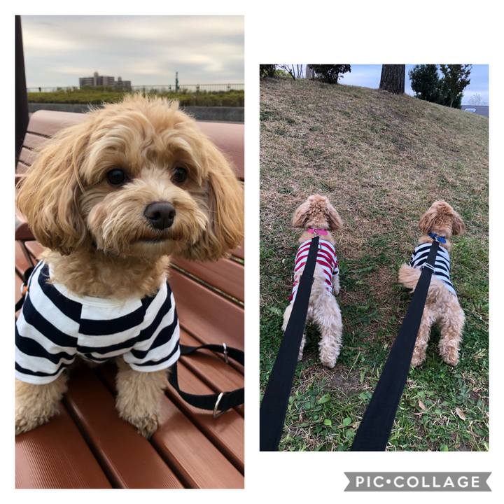 A2c5ee1d 86db 4254 8369 213f318ad66f 1606206879310