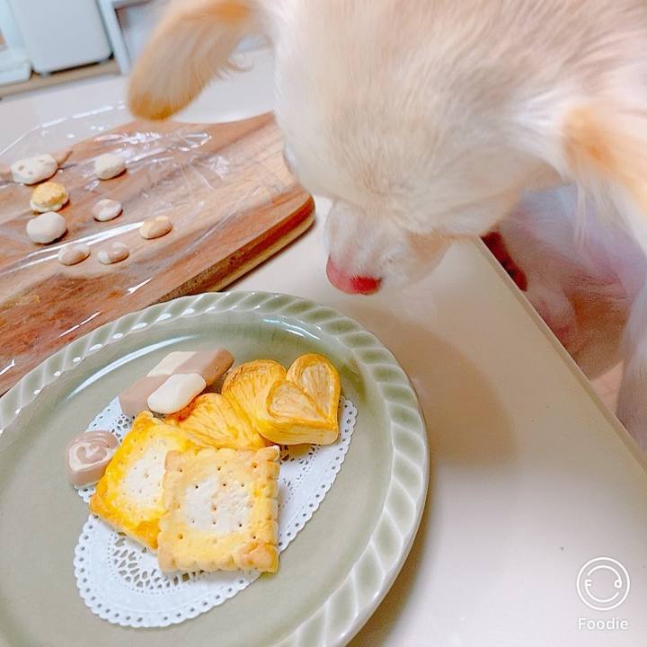 A2c5ffbf d29b 4f98 802d 7cbd2b98ebec 1627034595915