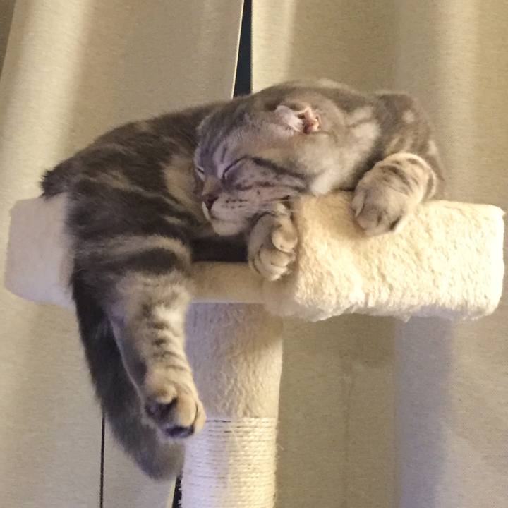 A2c6093c 4f59 442e ba53 792b5073609d 1595432644262