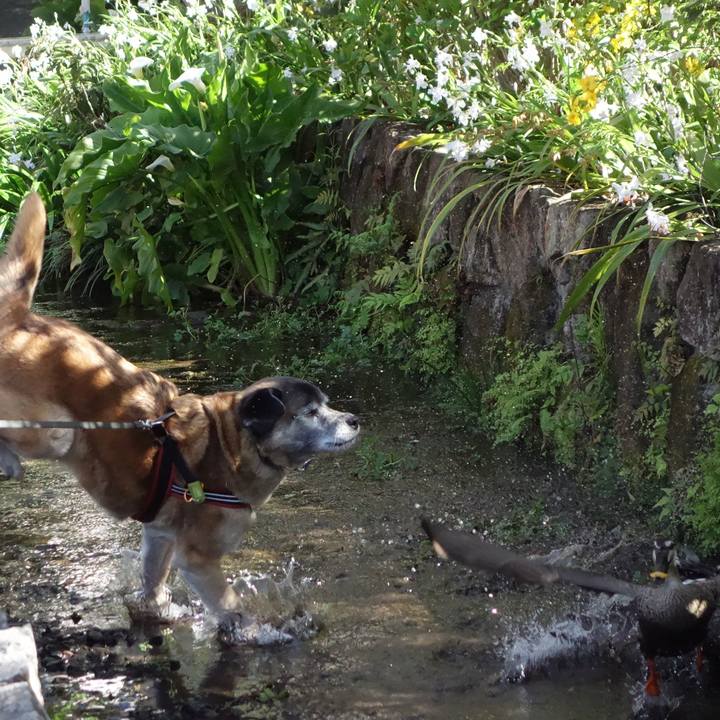 A2c67dd2 9004 4493 821a ea407d040965 1554771657808