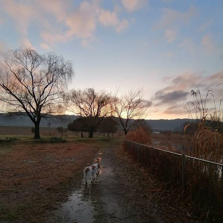 A2c6b3aa 156a 4f48 af01 6e9261b3dfec 1611575826357