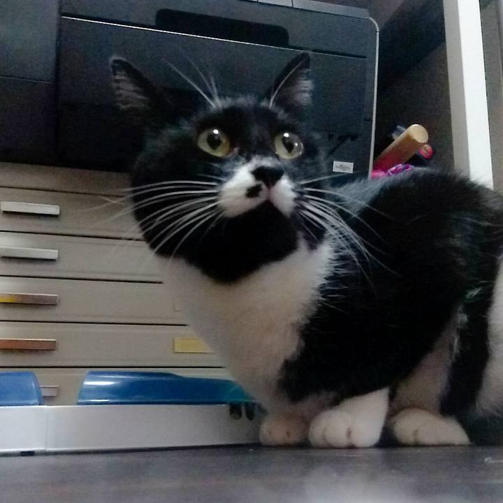 A2c6fe28 d094 43b9 976d e4a81d5d915c 1507823456767