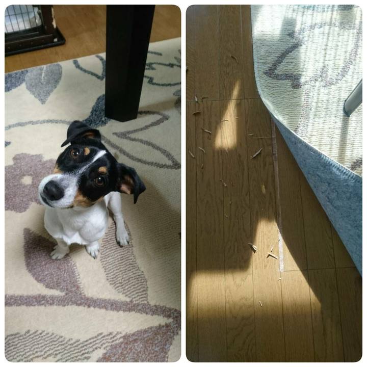 A2c70e3f 54d1 4d86 99b2 b6b48889fb69 1547032971228